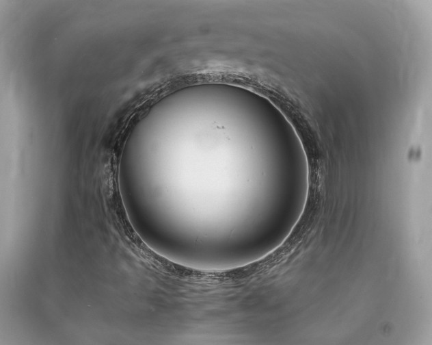 X0000091861493200709051156