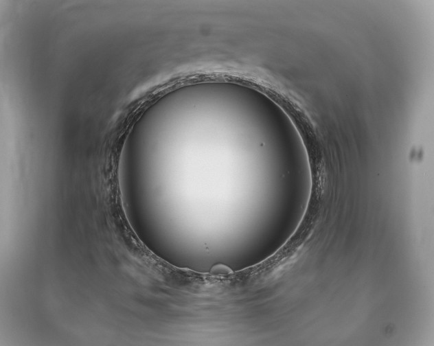 X0000091861494200709051156