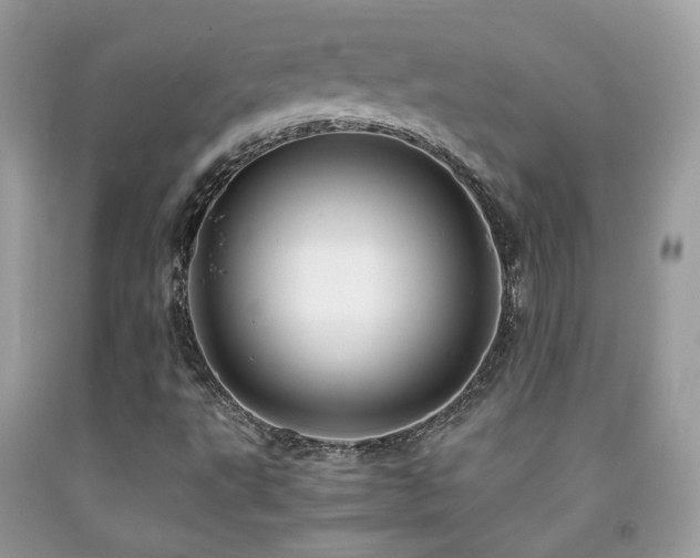 X0000091861495200709051156