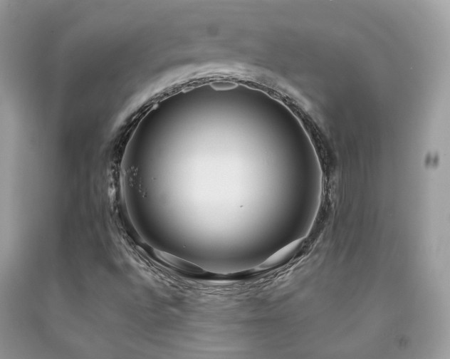 X0000091861496200709051156