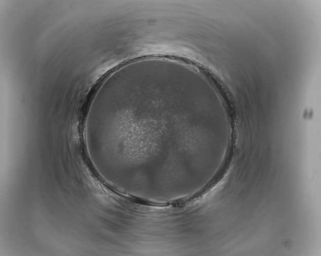 X0000091861497200709051156