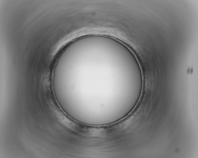 X0000091861498200709051156