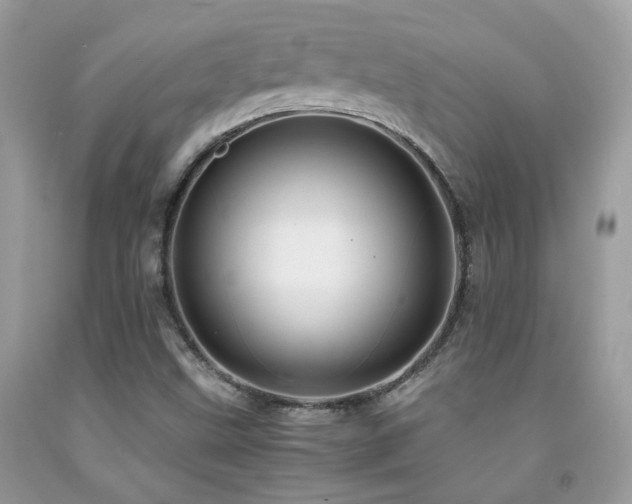 X0000091861499200709051156