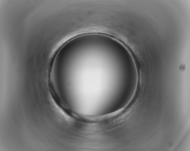 X0000091861500200709051156