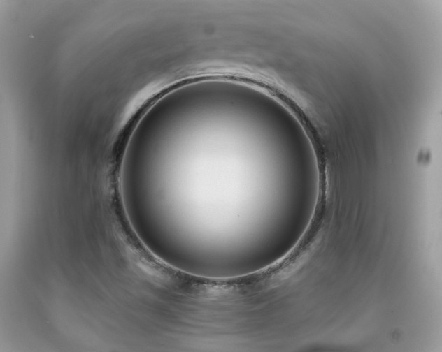 X0000091861501200709051156