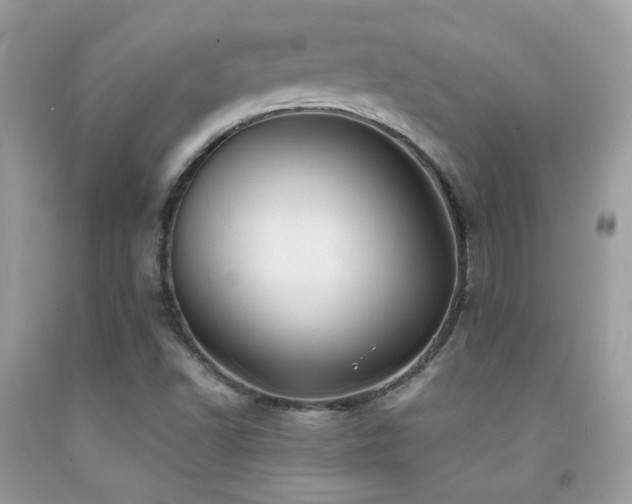 X0000091861502200709051156