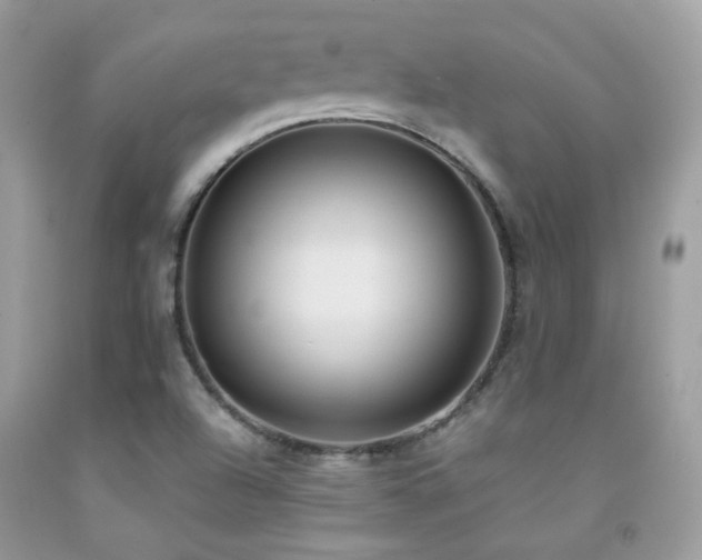 X0000091861504200709051156