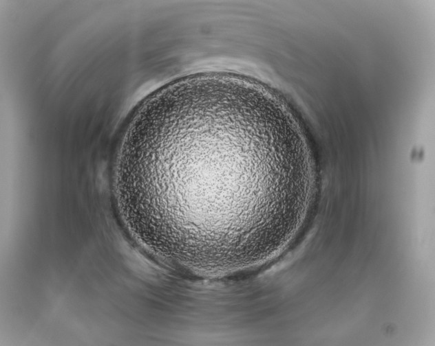 X0000091861505200709051156