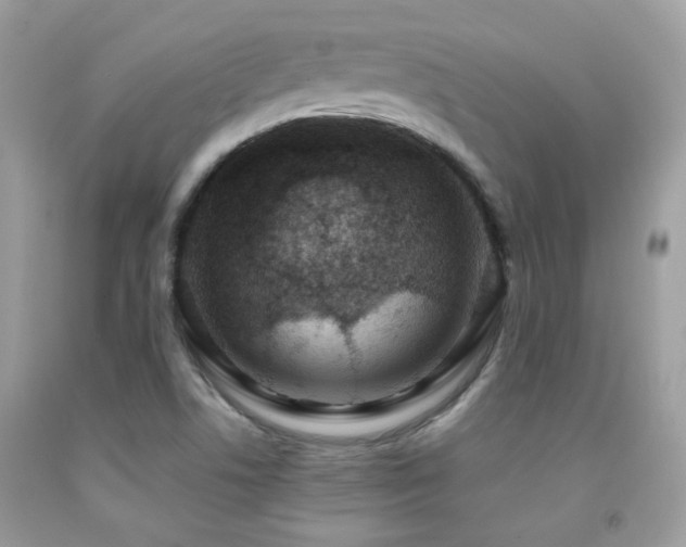 X0000091861506200709051156