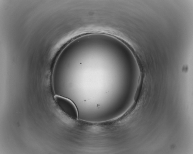 X0000091861507200709051156