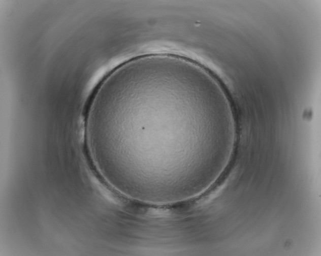 X0000091861509200709051156