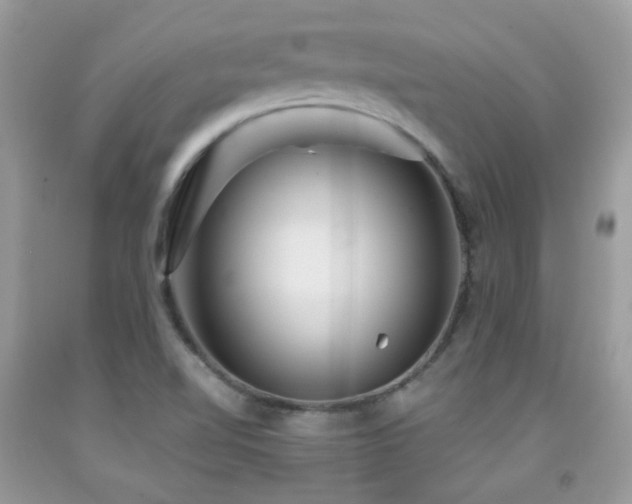 X0000091861510200709051156