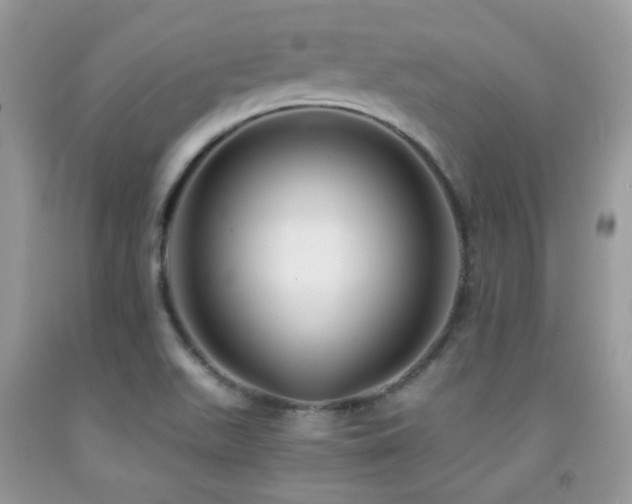 X0000091861511200709051156