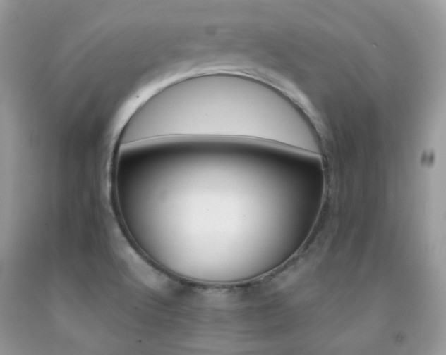 X0000091861512200709051156