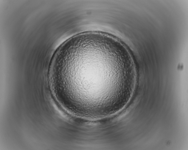 X0000091861513200709051156