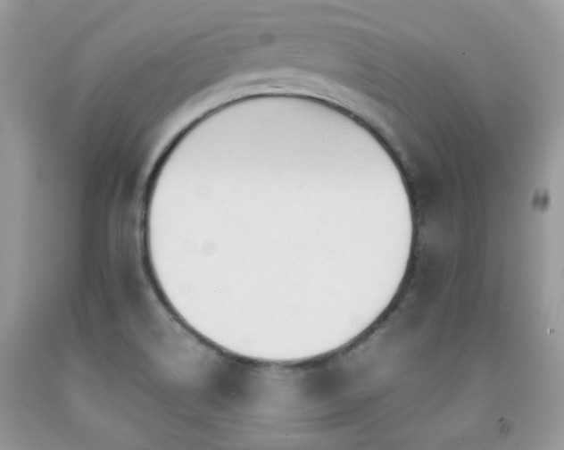 X0000091861514200709051156