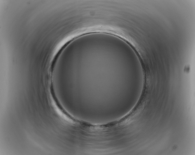 X0000091861515200709051156