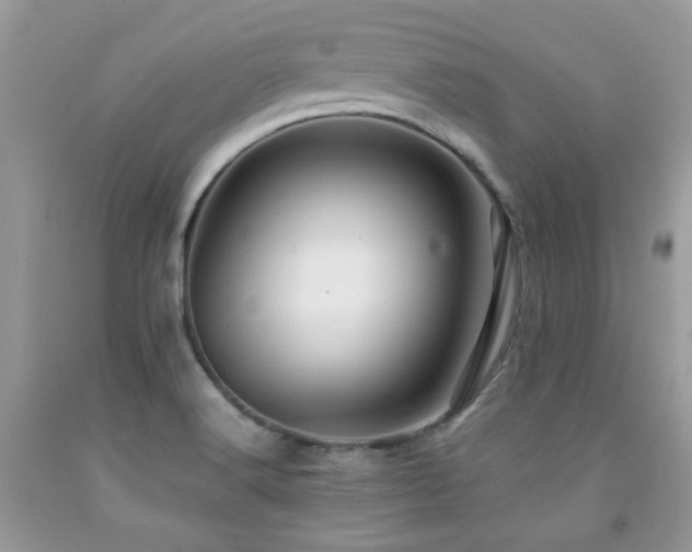 X0000091861516200709051156
