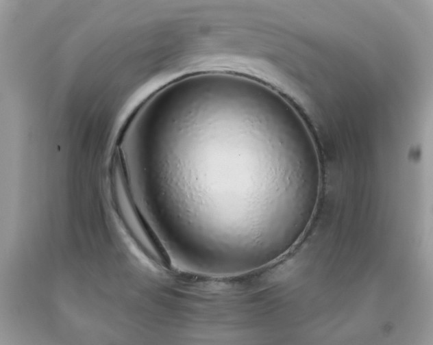 X0000091861517200709051156