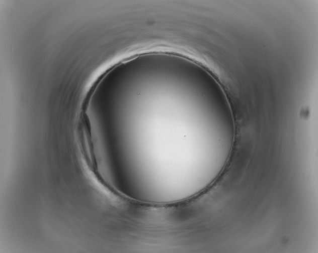 X0000091861518200709051156