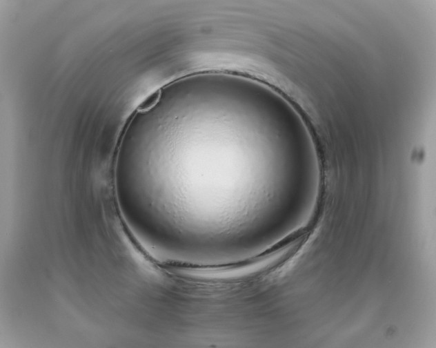 X0000091861521200709051157