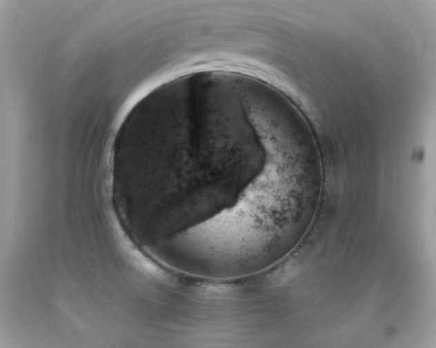 X0000091861522200709051157
