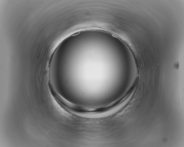 X0000091861524200709051157