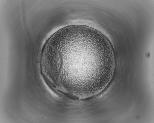 X0000091861525200709051157