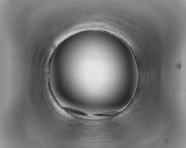 X0000091861526200709051157