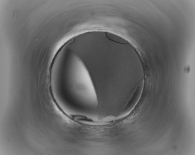 X0000091861527200709051157