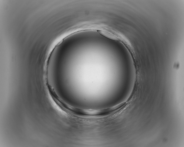 X0000091861528200709051157
