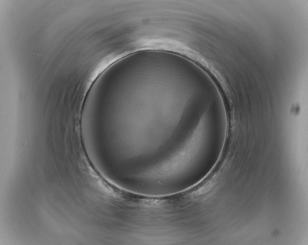 X0000091861529200709051157