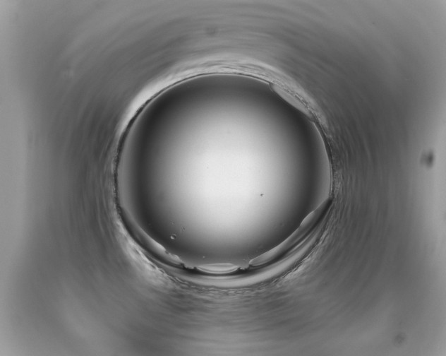 X0000091861530200709051157