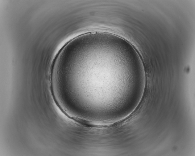 X0000091861531200709051157