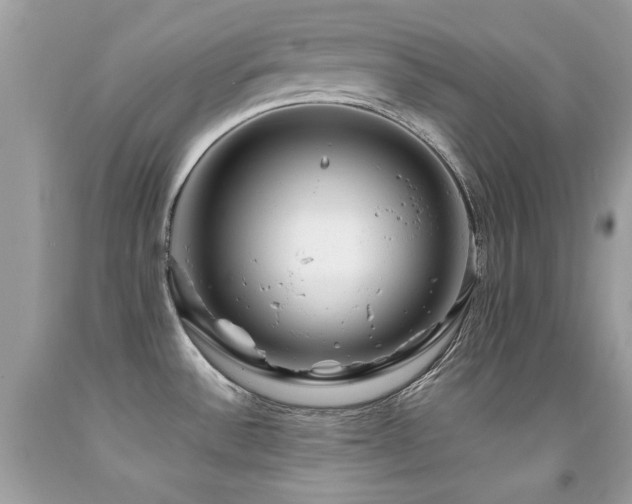 X0000091861532200709051157