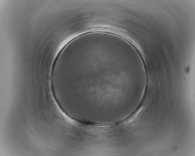 X0000091861533200709051157