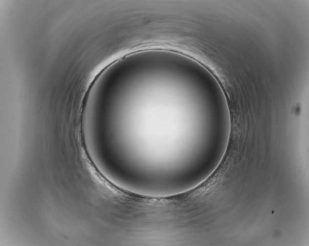 X0000091861534200709051157