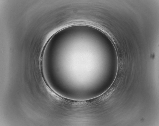 X0000091861535200709051157