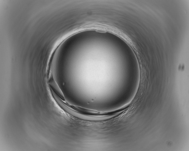 X0000091861536200709051157