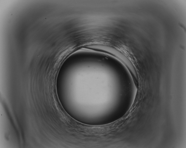 X0000091860001200709121339