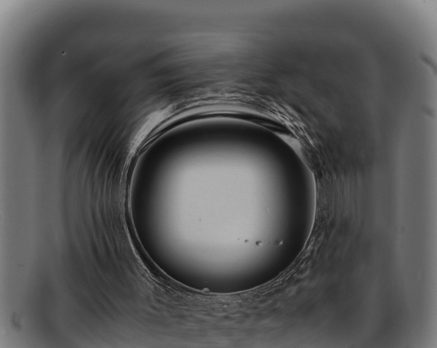 X0000091860003200709121338