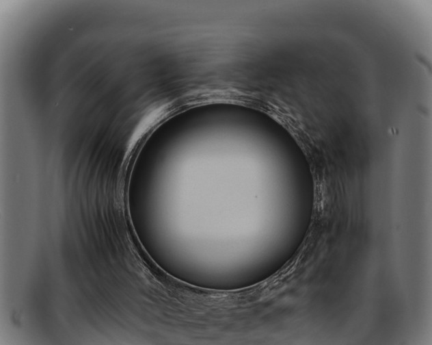 X0000091860004200709121338