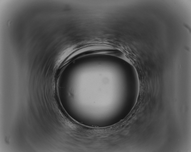 X0000091860005200709121338