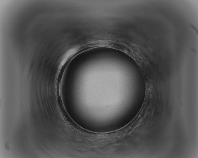 X0000091860006200709121338