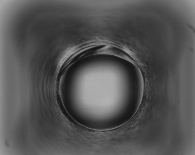 X0000091860007200709121338