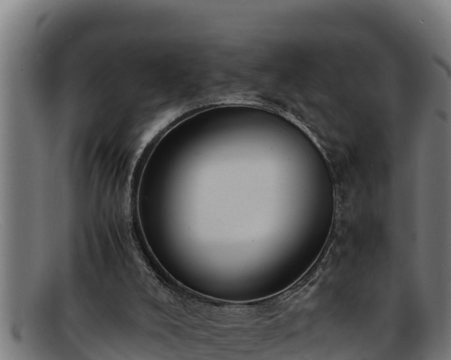 X0000091860008200709121338