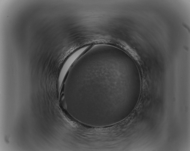 X0000091860009200709121338