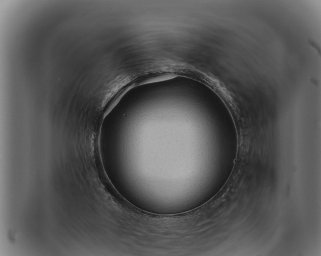 X0000091860010200709121338