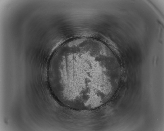 X0000091860012200709121338