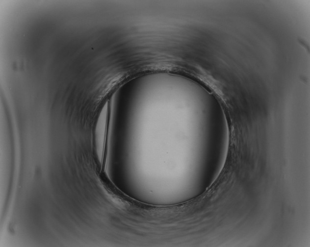 X0000091860013200709121338